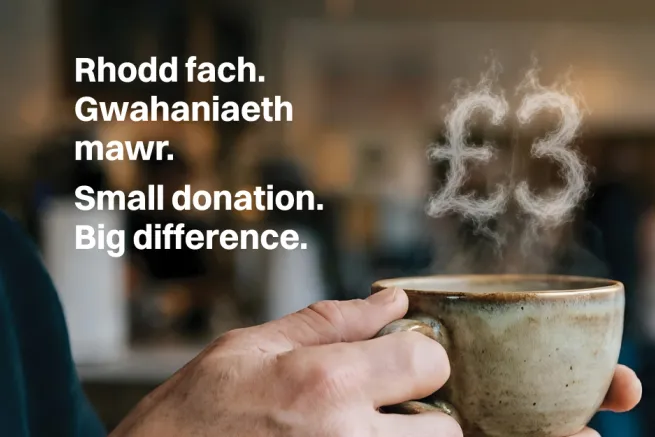 Small Donation Big Difference