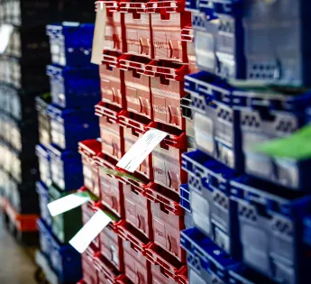 Warehouse with crates of food