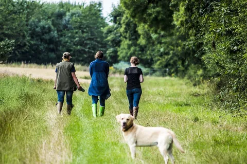 People walking in the countryside